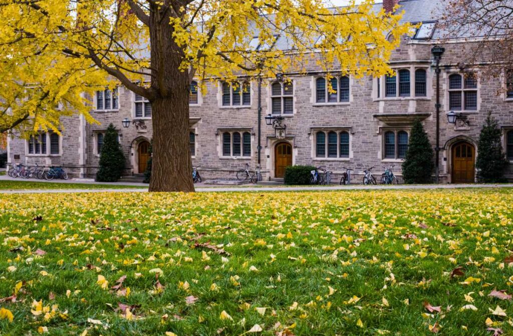 Princeton University offers free tuition to all admitted domestic and international students who qualify for need-based financial aid