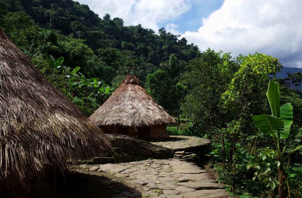 INDIGENOUS HUTS IN THE LOST CITY, COLOMBIA